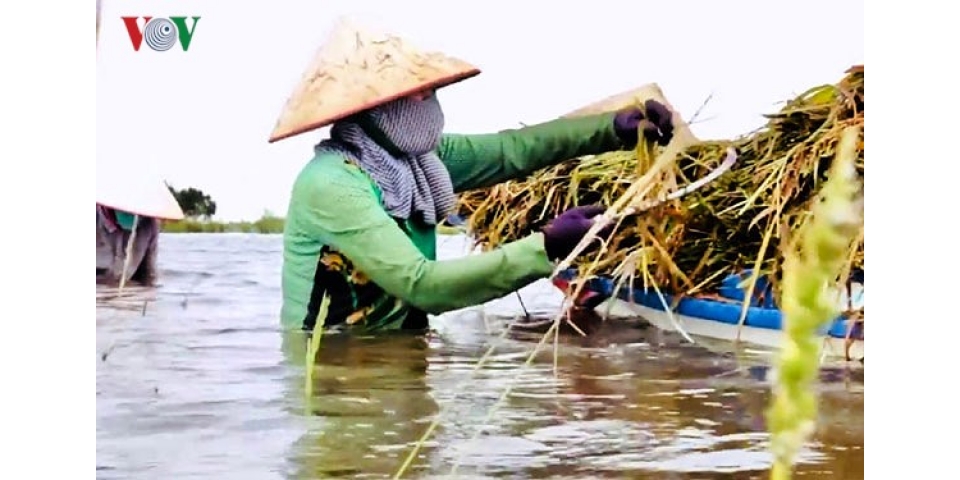 MÁY BƠM NƯỚC là một trong những phương án đối phó sự cố vỡ đập thủy điện ở Lào của các tỉnh ĐBSCL